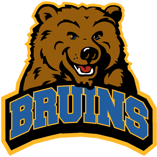 UCLA Bruins 2004-Pres Alternate Logo v3 diy fabric transfer